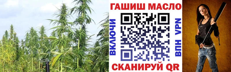 ТГК THC oil  Нефтекумск 